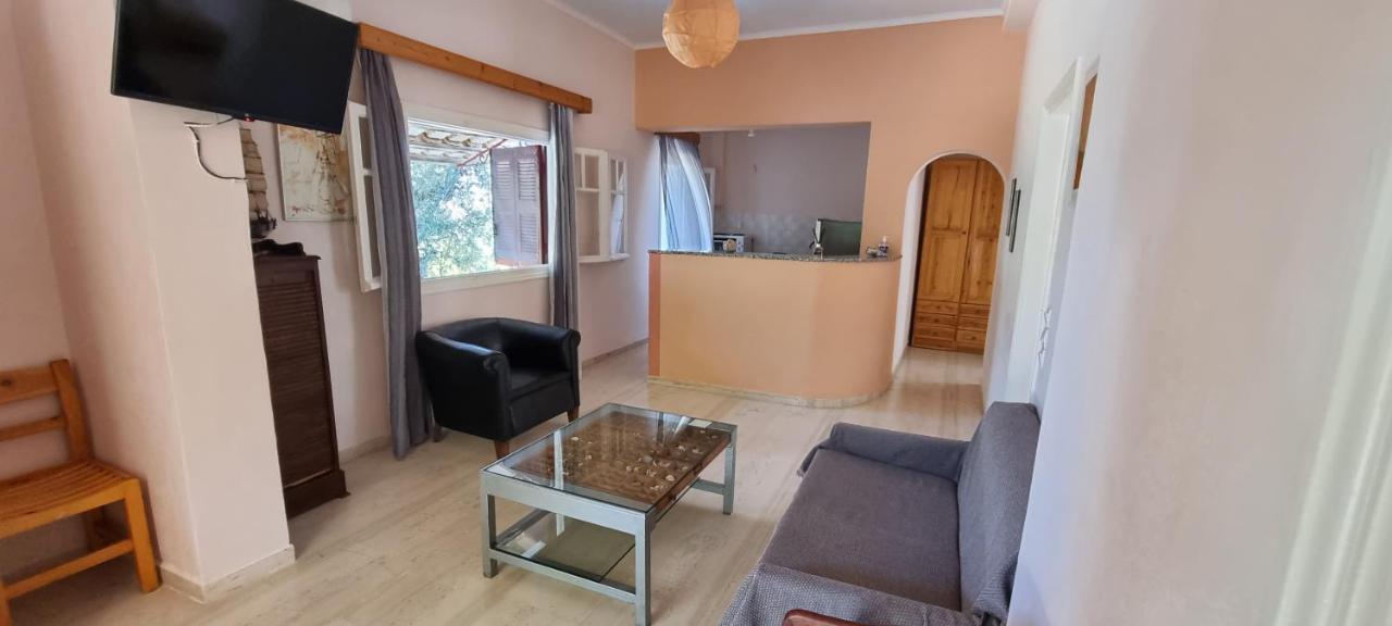Anemona Apartments And Studios Vasilikí Buitenkant foto