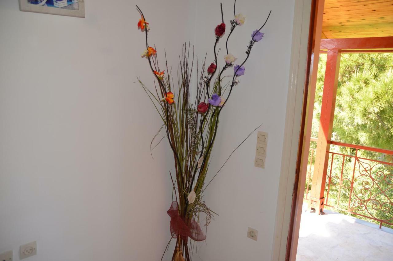 Anemona Apartments And Studios Vasilikí Buitenkant foto