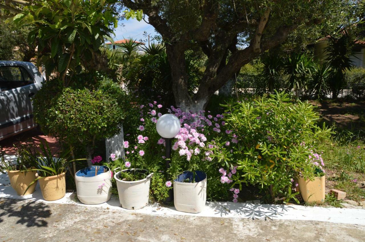 Anemona Apartments And Studios Vasilikí Buitenkant foto